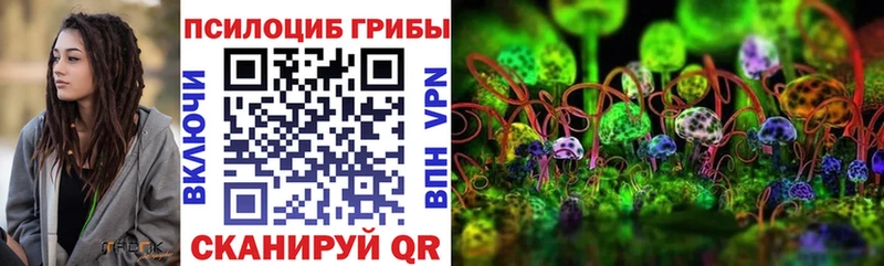 Купить  Мценск  Псилоцибиновые грибы Psilocybine cubensis 